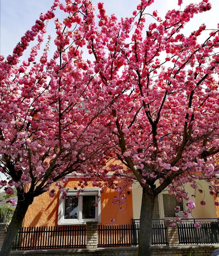 Ferienwohnung Marcipan Hévíz Exterior foto